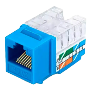Jack RJ45 Cat 6 Azul WG - Paquete de 100